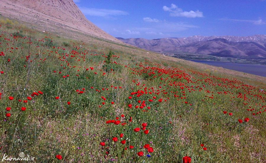 تالاب چغاخور