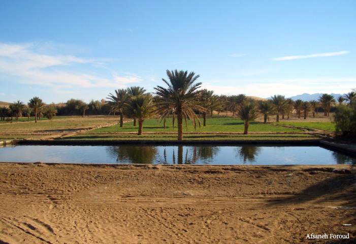 روستای مصر