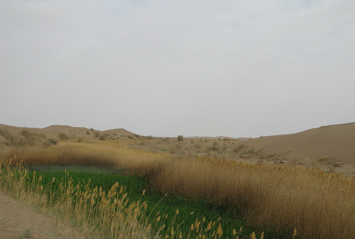 روستای مصر