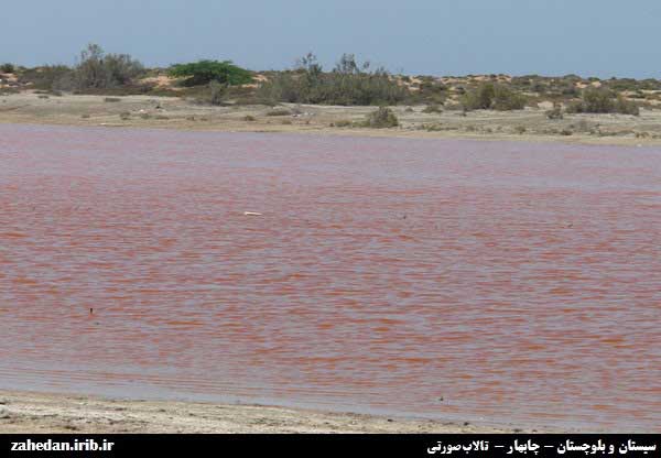 تالاب لیپار