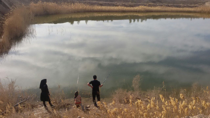 کمپینگ گردشگری ستاره شب های کویر