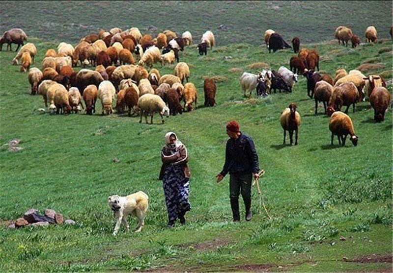 عشایر اردبیل