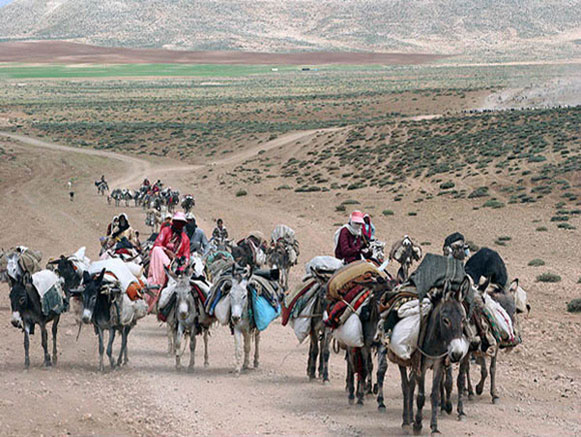 عشایر اردبیل