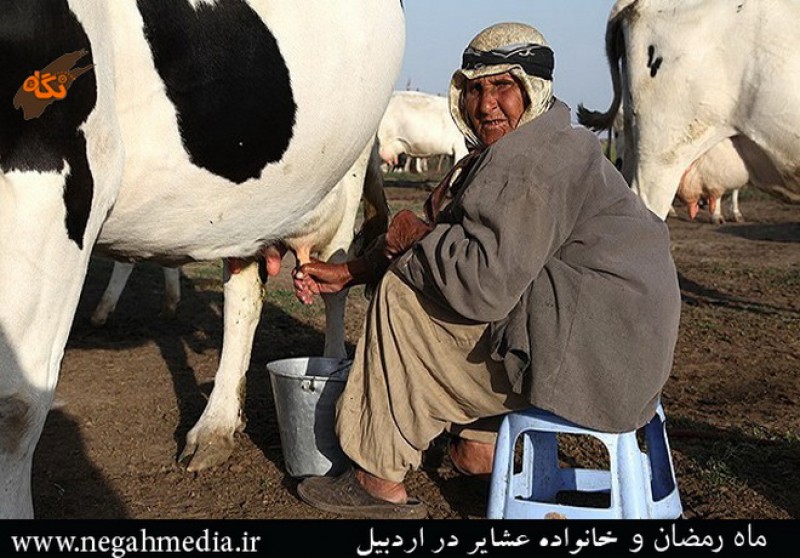 عشایر اردبیل