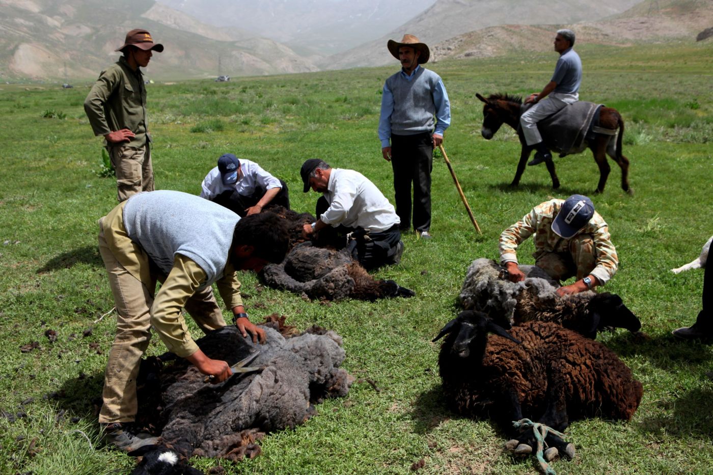 عشایر اردبیل