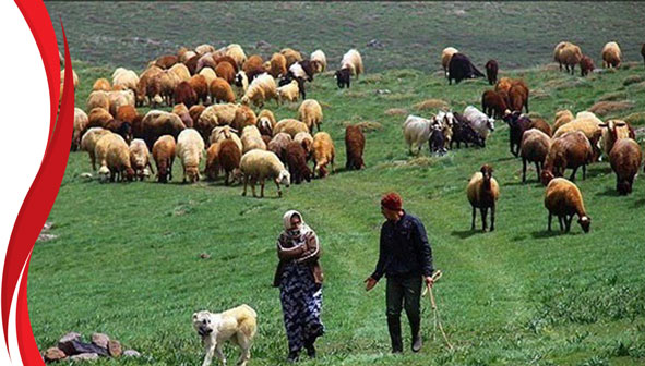 عشایر اردبیل
