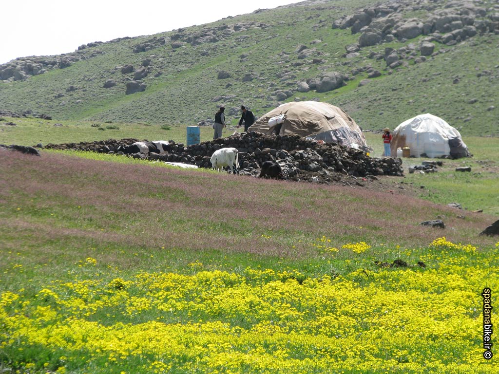 عشایر اردبیل