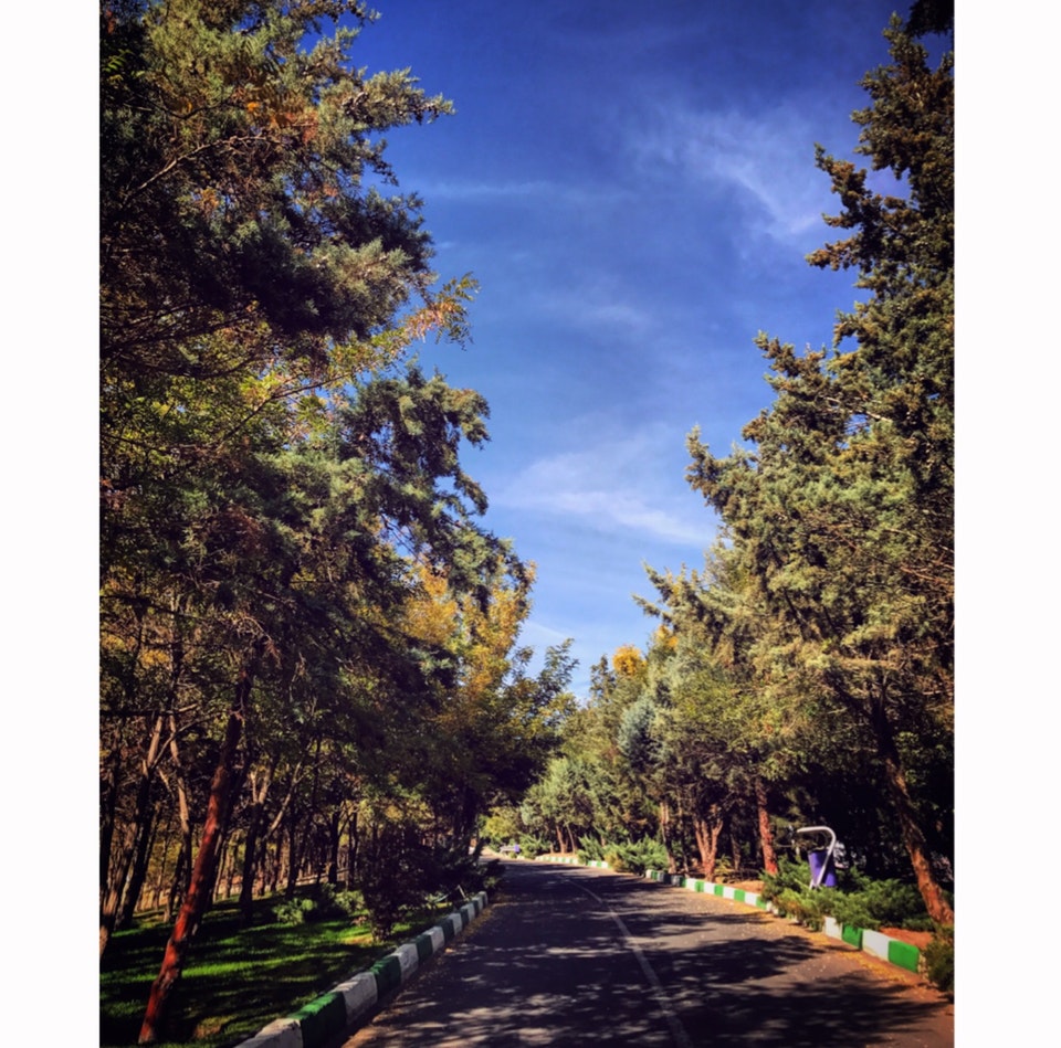 پارک صائب تبریزی