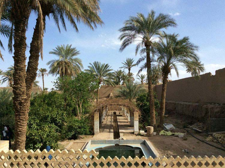 باغ تیتو بافق