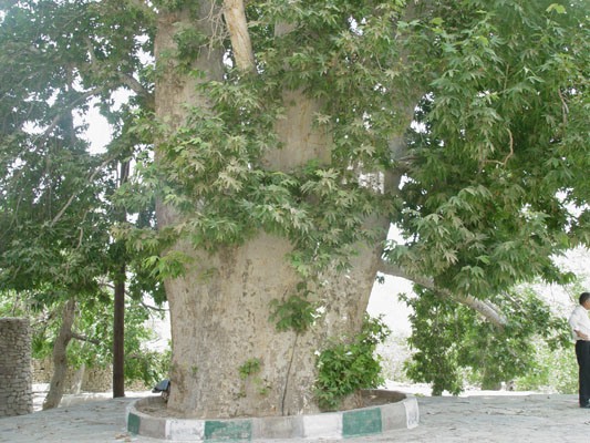 روستای باجگان بافق