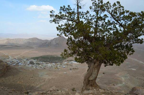 روستای باجگان بافق