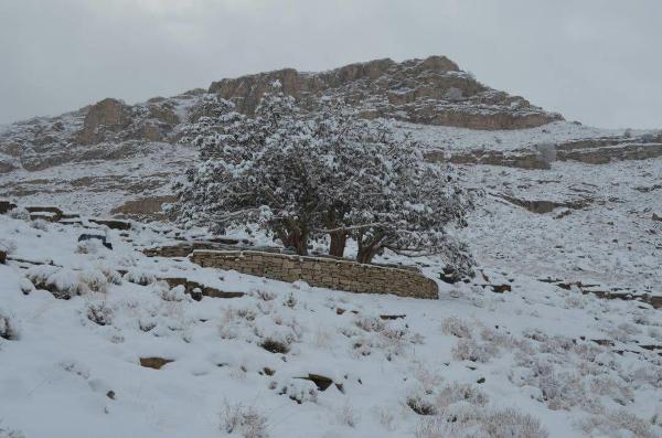 روستای باجگان بافق