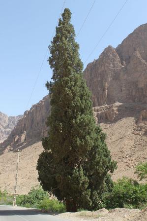روستای شادکام بافق