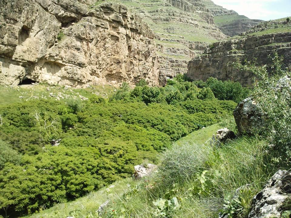 پارک ملی تندوره
