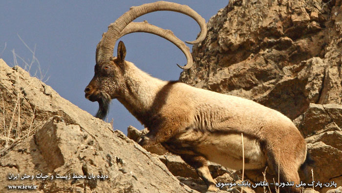 پارک ملی تندوره