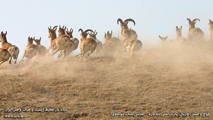 پارک ملی تندوره