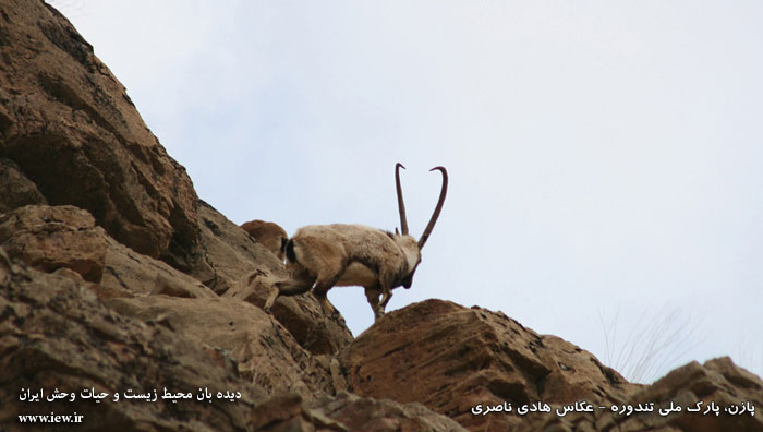 پارک ملی تندوره