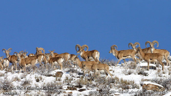 پارک ملی تندوره
