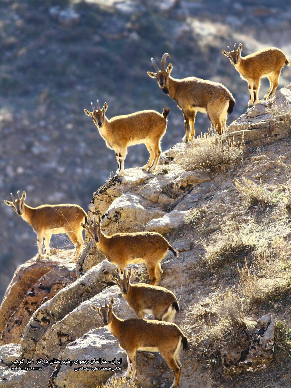 پارک ملی تندوره
