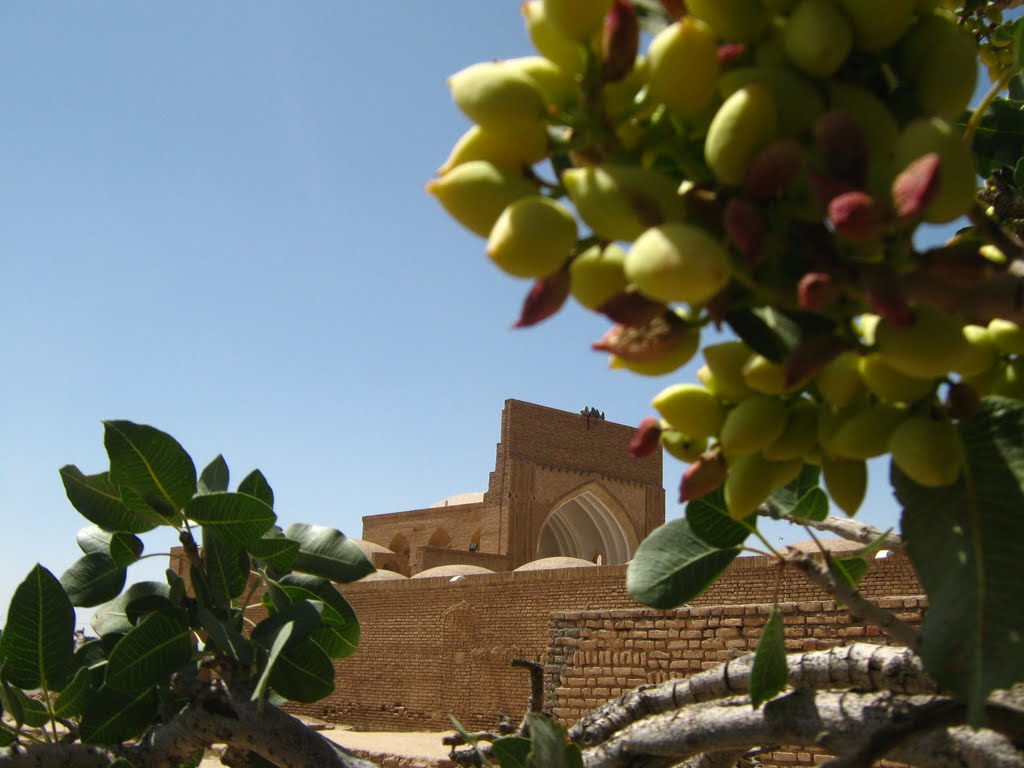 مسجد جامع تون