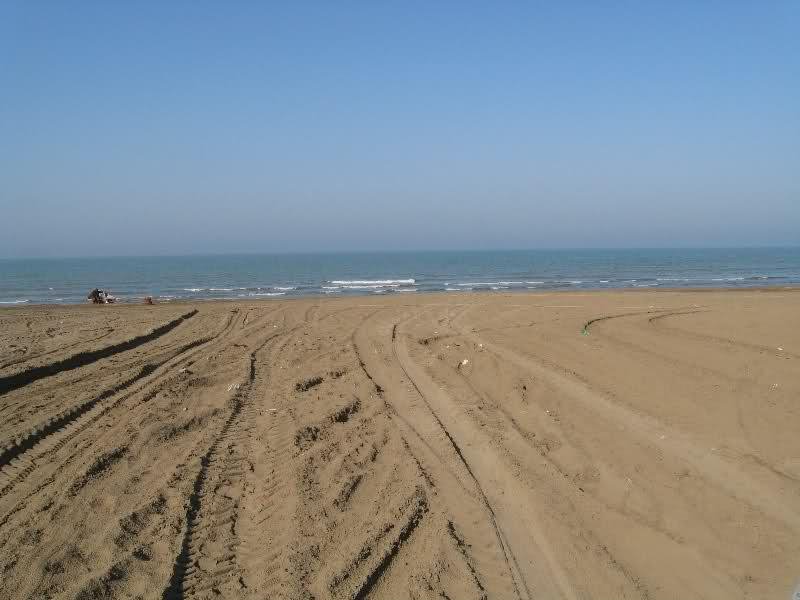 ساحل چپکرود جویبار