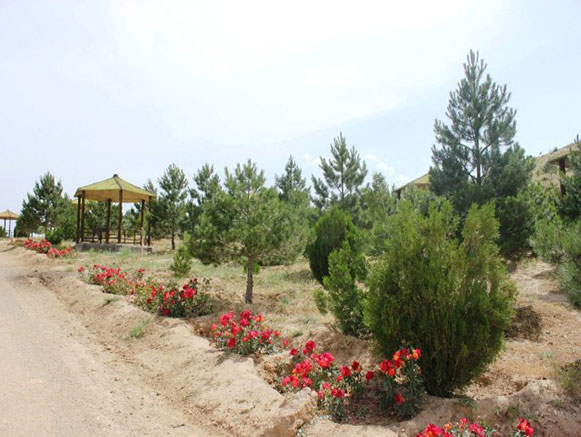 آرپا دره سی تبریز