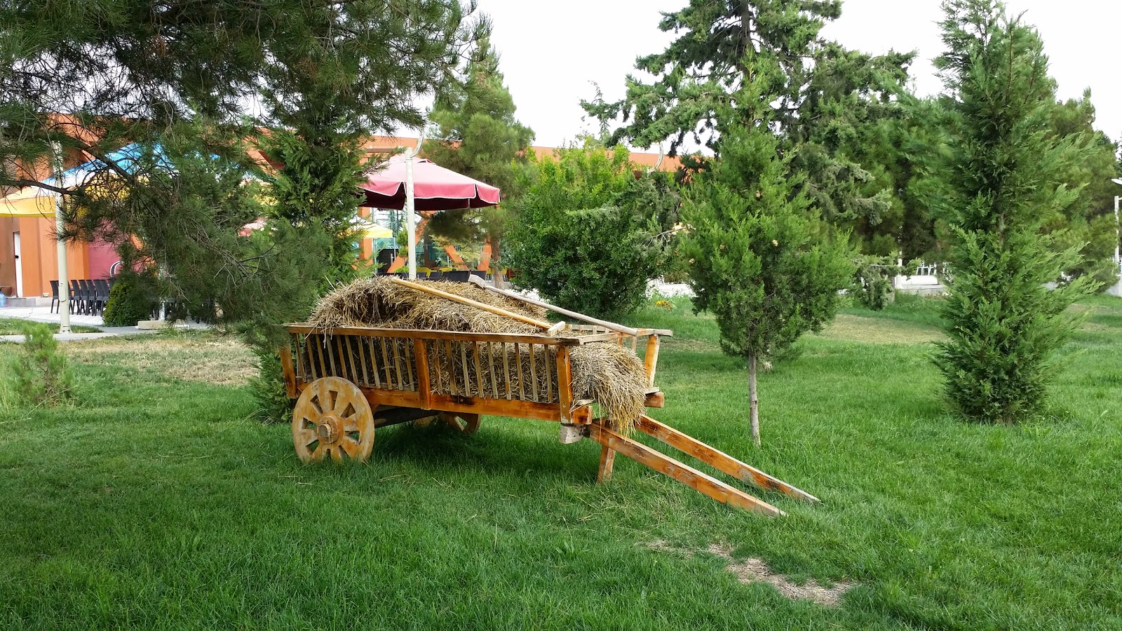 پارک حیدر علی اف گنجه