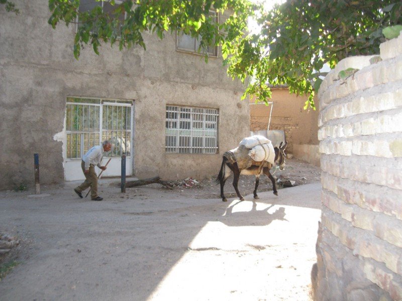 روستای زر آباد قزوین