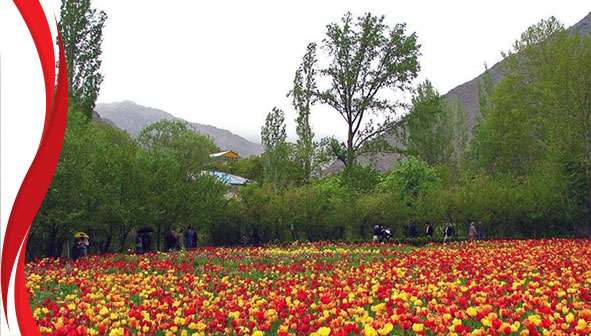 روستای گچسر