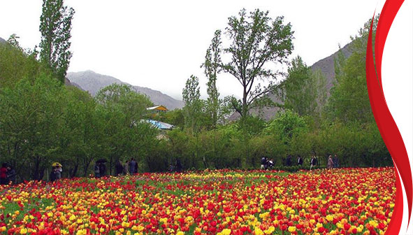 روستای گچسر