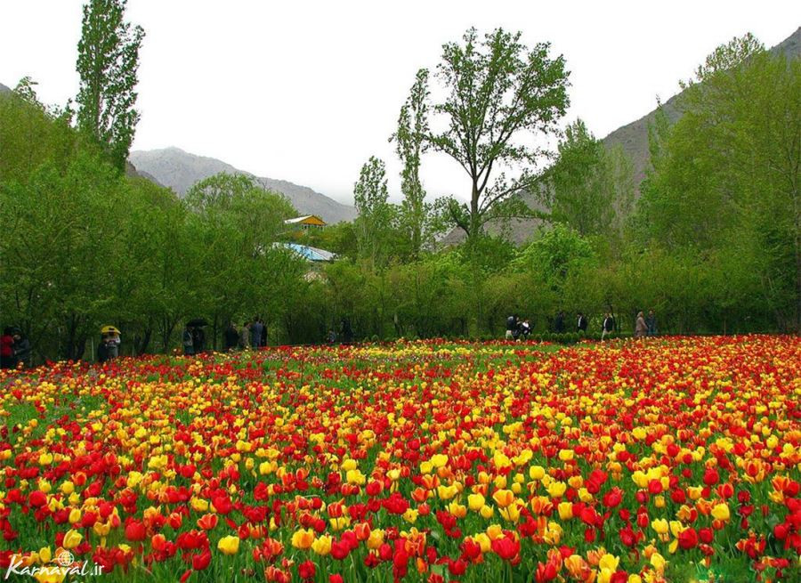 روستای گچسر - سایت گردشگری ایران