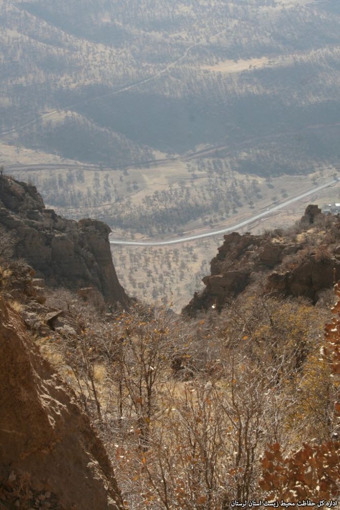 منطقه حفاظت شده سفید کوه لرستان