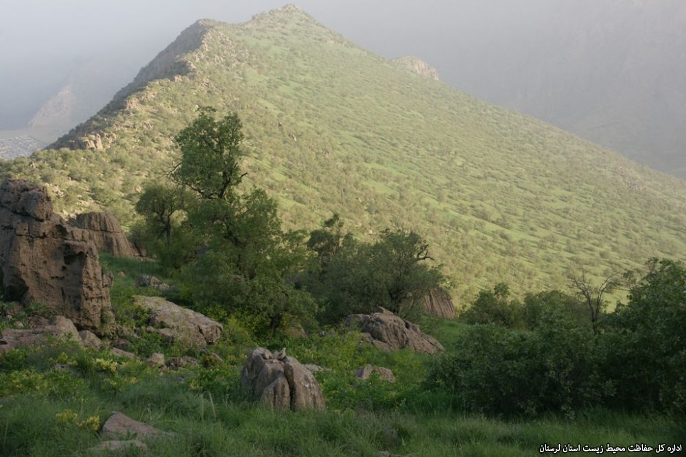 منطقه حفاظت شده سفید کوه لرستان