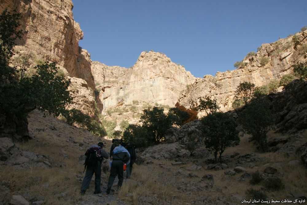 منطقه حفاظت شده سفید کوه لرستان