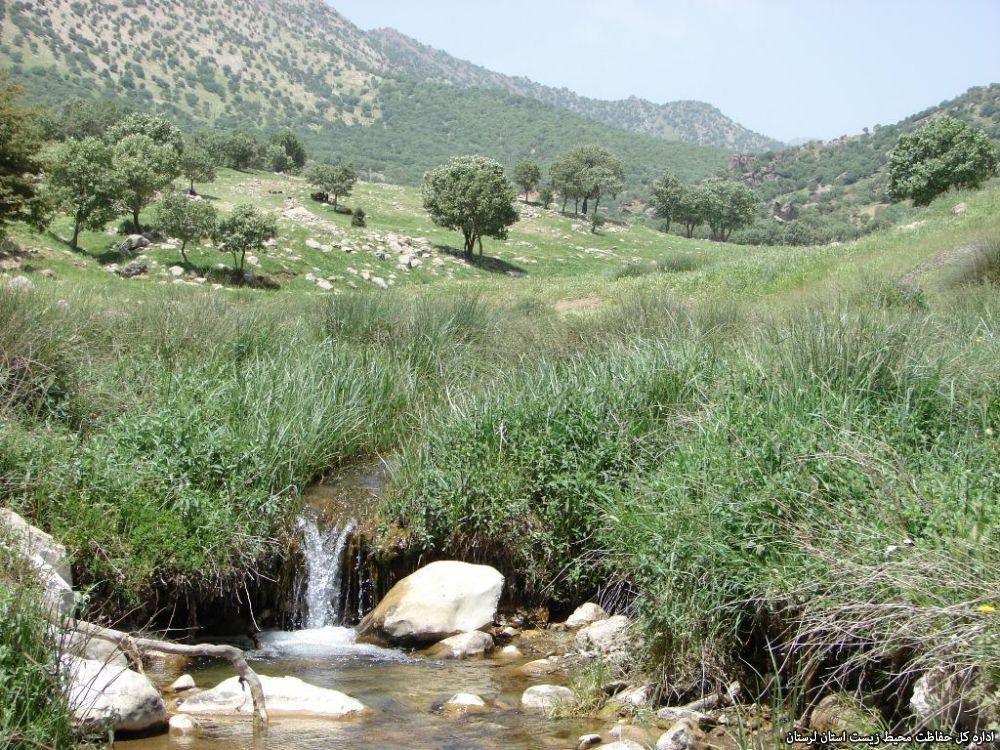 منطقه حفاظت شده سفید کوه لرستان