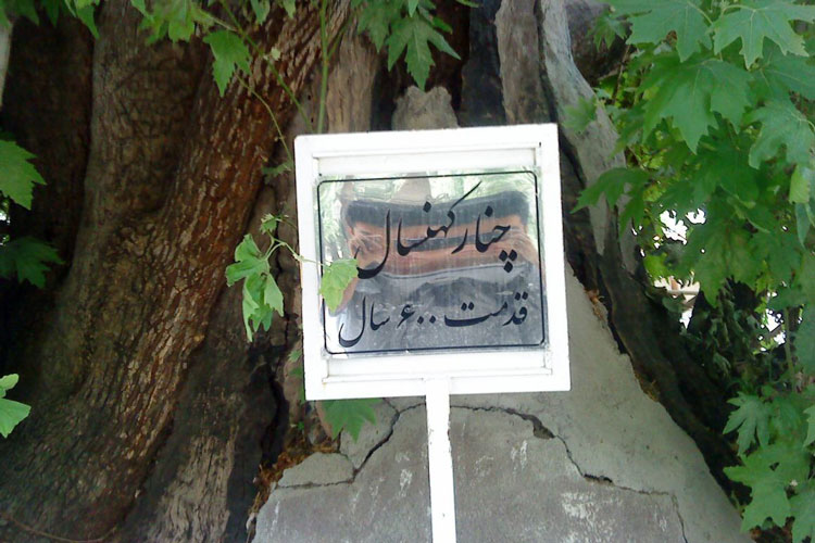 پارک کوهستان کرمانشاه