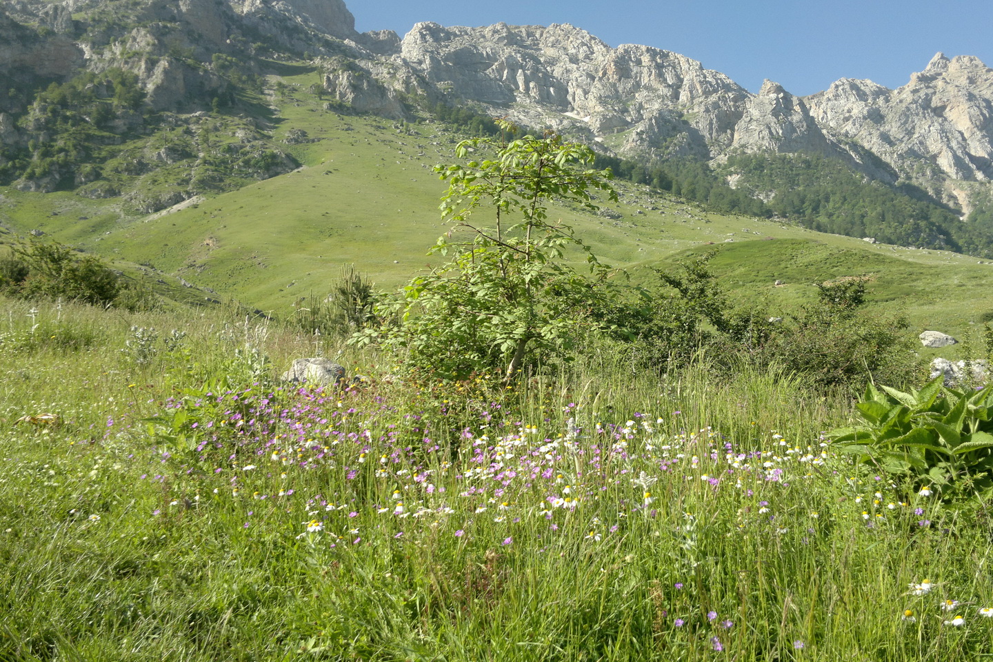 بولا آبشاری دیدنی در مازندران