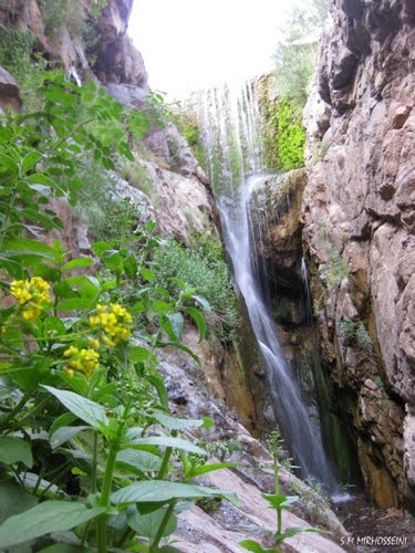 بنگان آبشاری با طراورت در کرمان 
