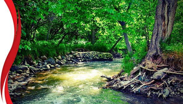 قیرمیزی گول آذرشهر
