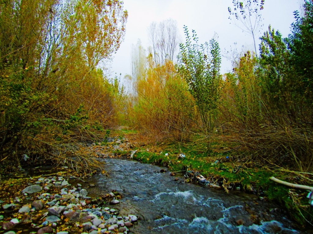 قیرمیزی گول آذرشهر