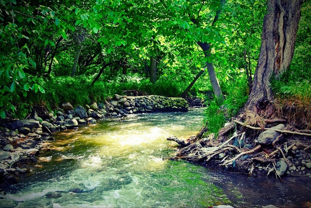قیرمیزی گول آذرشهر
