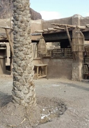 شهرک سینمایی نور