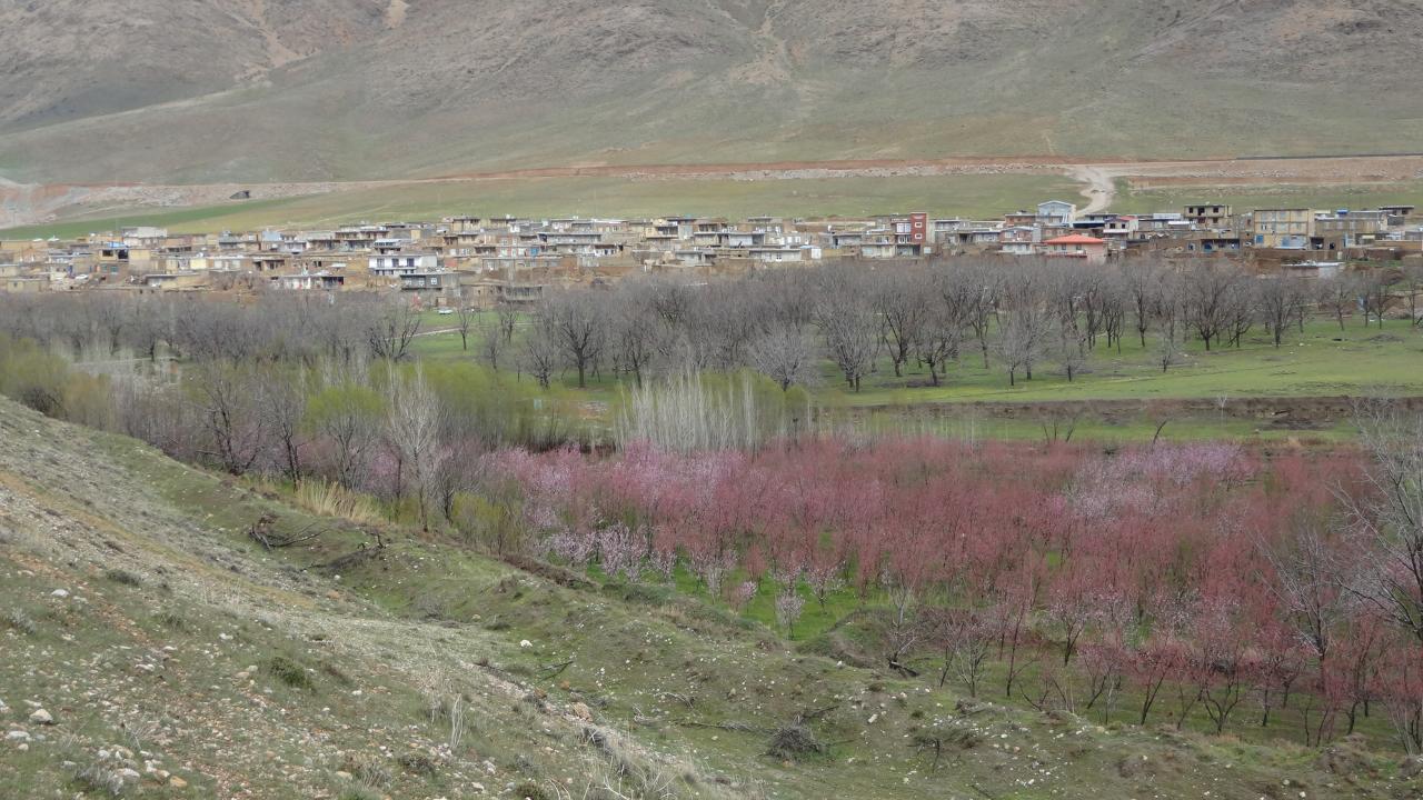 سراب ملوسان نهاوند
