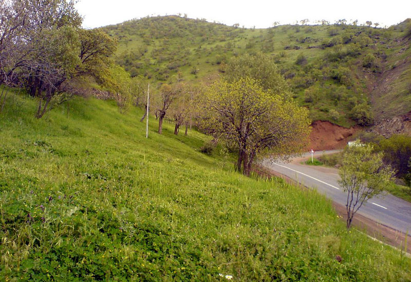 آبشار شولخه پاوه