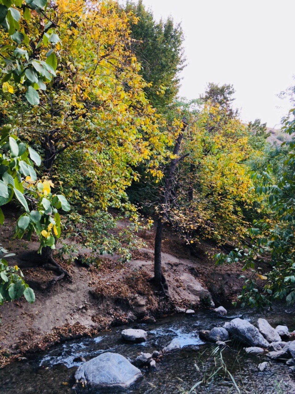 دربند صحنه
