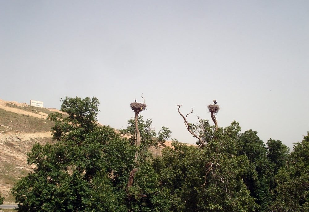 ییلاق خوران ایلام