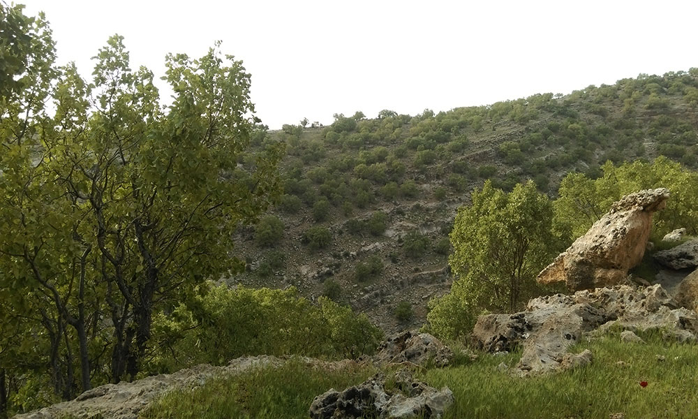 ییلاق خوران ایلام