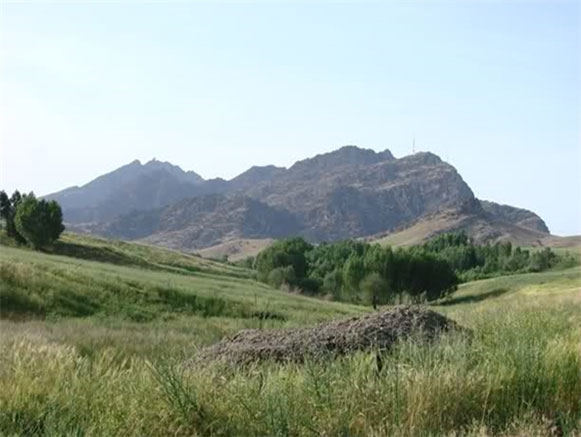 مخمل کوه لرستان
