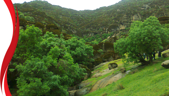 مخمل کوه لرستان