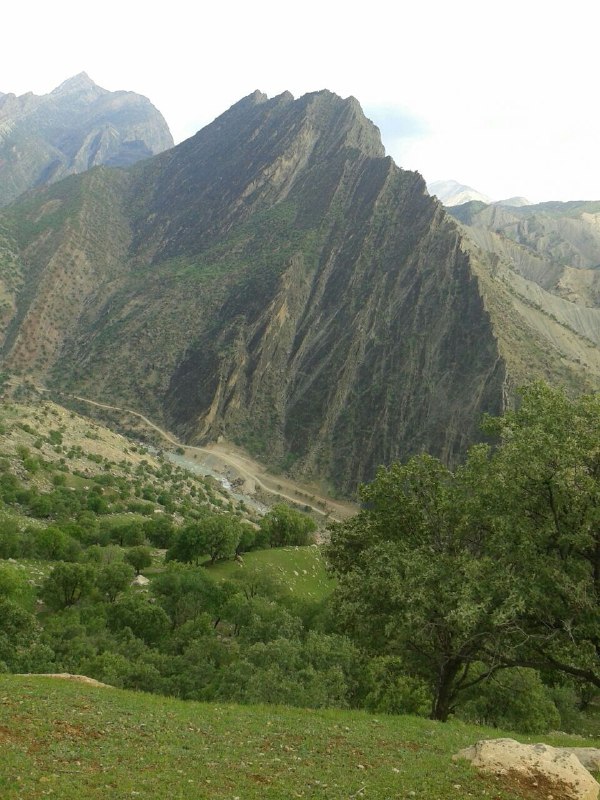 مخمل کوه لرستان